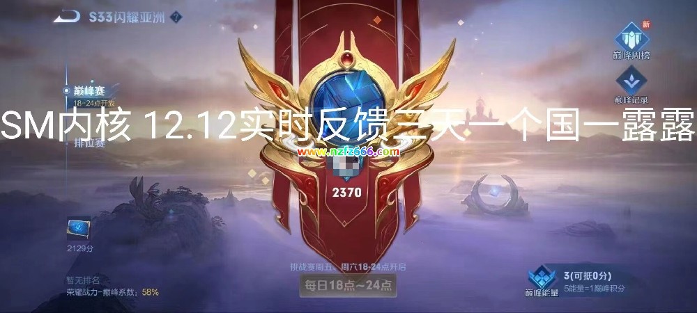 <strong>王者荣耀辅助SM12/15游戏反馈</strong>